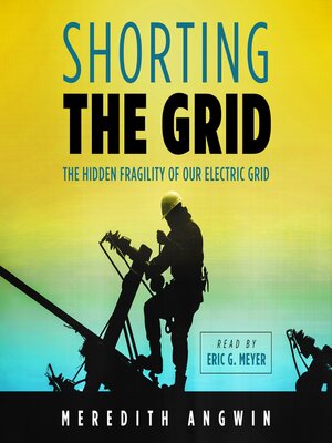 Shorting the Grid - Audiobook
